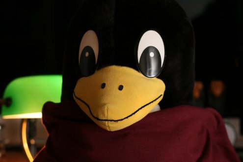 fialové/hnědé/maroon Tričko Free Software, Free Society a plyšový tučňák