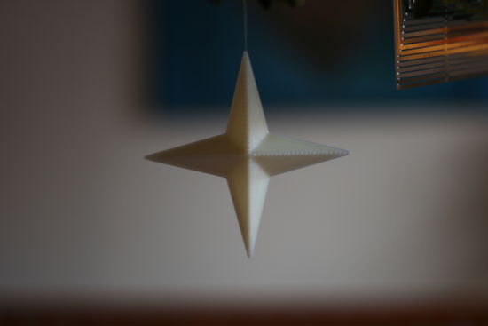 Vánoční hvězda – foto